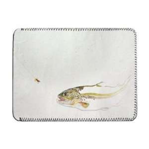  Trout chasing a fishermans fly (mixed   iPad Cover 