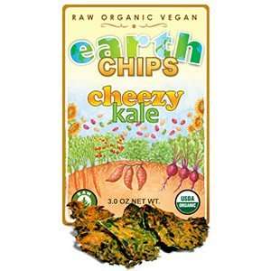 Earth Chips Raw Organic Cheezy Kale Grocery & Gourmet Food