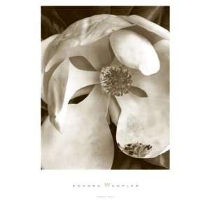  Sondra Wampler   Magnolia No. 3 Canvas