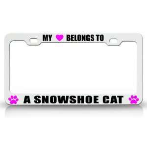  MY HEART BELONGS TO A SNOWSHOE Cat Pet Auto License Plate 