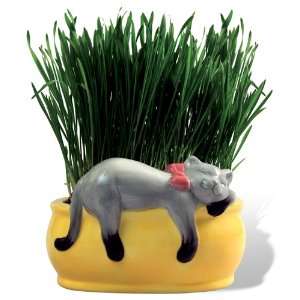    Chia Cat Grass Planter Snoozing Kitty Cat Patio, Lawn & Garden