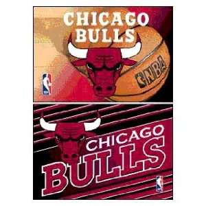  Chicago Bulls Set of 2 Magnets *SALE*
