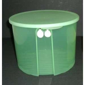  Storage, 20 cup capacity (Impressions spring green container & seal