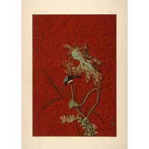  1884 Japanese Lotus Leaf Seed Bird Chromolithograph 
