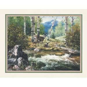  Jack Sorenson   Rocky Mountain Deer Canvas