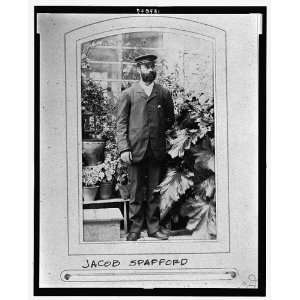  Jacob Spafford,American Colony,Jerusalem,1880