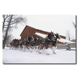  Clydesdales Snowing in Front of Barn 16 Canvas Art