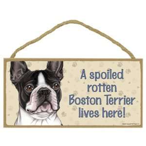 Boston Terrier   A spoiled your favoriate dog breed lives here 