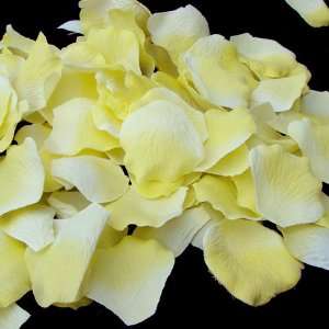   Yellow Flower Girl Petals  Silk Rose Petals