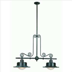 Troy Lighting Union Station Two Light Kitchen Island Light in Historic 