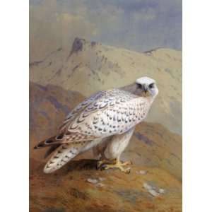  FRAMED oil paintings   Archibald Thorburn   24 x 34 inches 