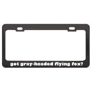 Got Gray Headed Flying Fox? Animals Pets Black Metal License Plate 