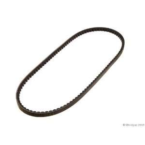  Conti W1002 33156   V Belt Automotive