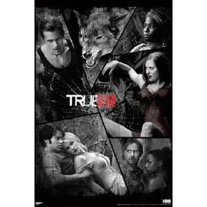  True Blood Shattered Poster