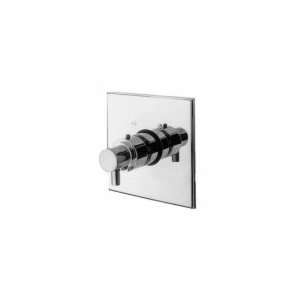  Newport Brass Square Thermostatic Trim Plate Only, Lever 