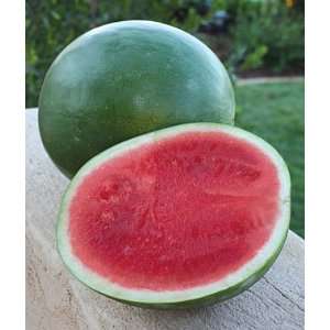 Watermelon, Snack Pack Hybrid 1 Pkt. (10 seeds)