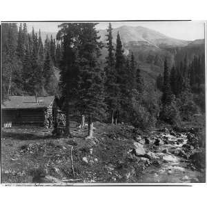   Millards cabin,Nicoli Creek,Valdez vicinity,Alaska,AK