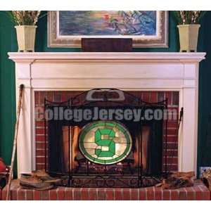 Michigan State Spartans Fireplace Screen Memorabilia.  