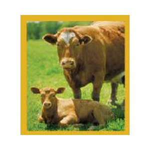  Magnetic Bookmark Cow With Calf (Brown), Beautiful and 