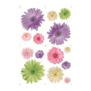 Daisy Chain Easy Accent Appliques