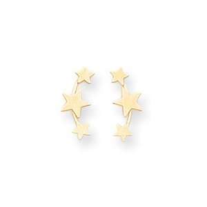  Sardelli   14kt Gold Polished 3 Star Post Earrings 