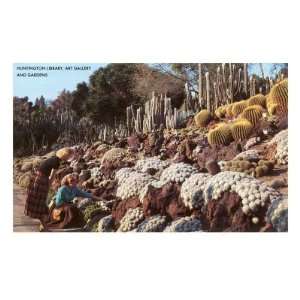 Cactus, Huntington Grounds, San Marino, California Premium 