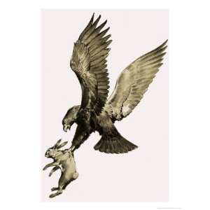  The Eagle and the Hare, from the Story by Aesop Art Giclee 