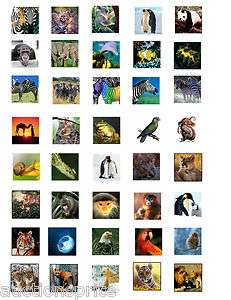 40 Animal Images 1 Square Collage Paper 8.5 x 11   For Glass Tile 