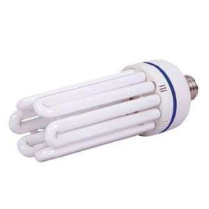    Compact Fluorescent   Daylight   105W Patio, Lawn & Garden