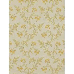    Kylia Glen Cantaloupe by Robert Allen Fabric