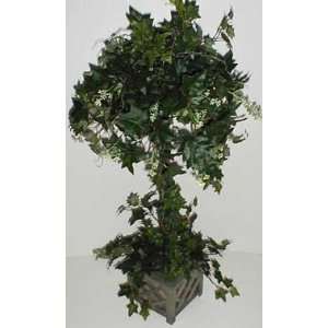  34 Sage Ivy Topiary Tree in Wooden Box