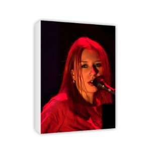  Tori Amos   Canvas   Medium   30x45cm