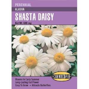  Shasta Daisy Alaska Seeds Patio, Lawn & Garden
