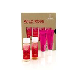  Weleda Wild Rose Facial Care Kit Beauty