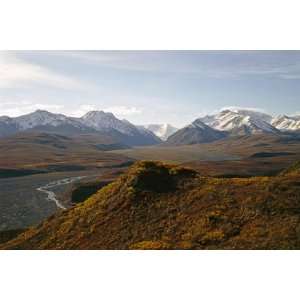   Murie Plain, Alaska, USA by Bernard Friel, 72x48