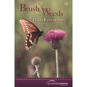  Brush and Weeds of Texas Rangelands [Paperback] Charles R 