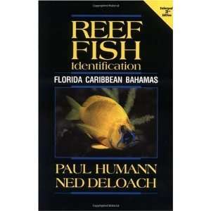 Reef Fish Identification Florida, Caribbean, Bahamas 