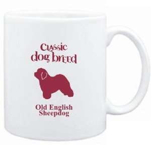    Classic Dog Breed Old English Sheepdog  Dogs