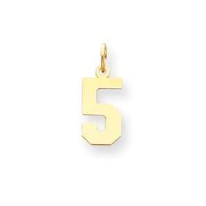  14k Yellow Gold Small Polished Number 5 Charm Jewelry