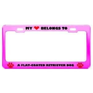  A Flat Coated Retriever Dog Pet Pink Metal License Plate 
