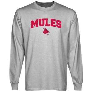  NCAA Central Missouri Mules Ash Logo Arch Long Sleeve T 