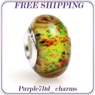 1pc lampwork glass silver core beads charm fit European bracelet 