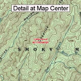  USGS Topographic Quadrangle Map   Calderwood, Tennessee 