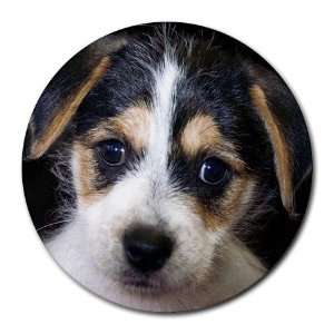  Jack Russell Puppy Dog Round Mousepad BB0702 Everything 