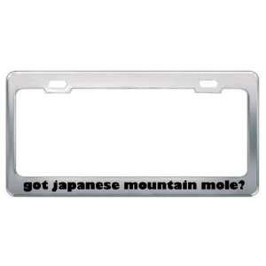 Got Japanese Mountain Mole? Animals Pets Metal License Plate Frame 