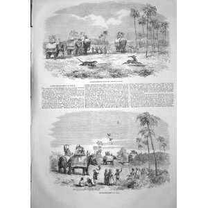  1857 ANTELOPE HUNTING LEOPARD INDIA PARTRIDGE HAWKING 