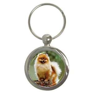  Pomeranian Key Chain (Round)