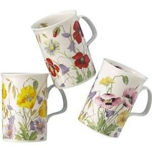  Roy Kirkham English Meadow Set Of Three Assorted Mugs 
