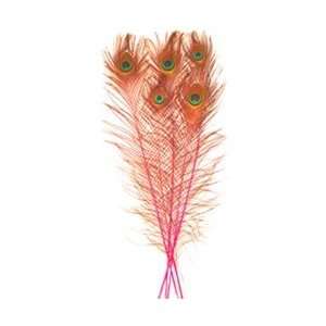  Dyed Pink Peacock Feathers 35 40 (Pack of 100) Arts 