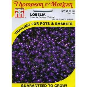  Thompson & Morgan 1641 Lobelia Sapphire (Trailing) Seed 